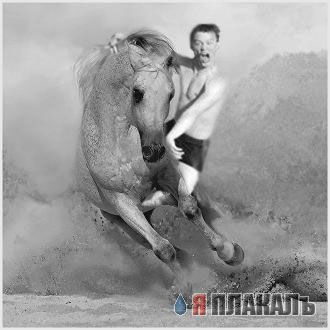 Фотожаба: Перед купанием