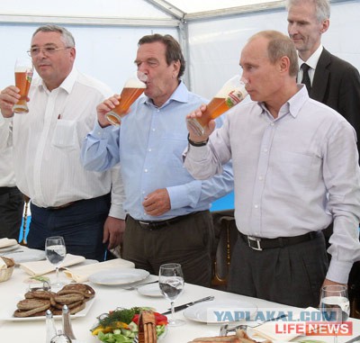 Я - злостный нарушитель общественного порядка.