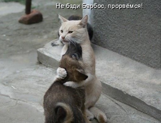 Мы не торгуем территориями