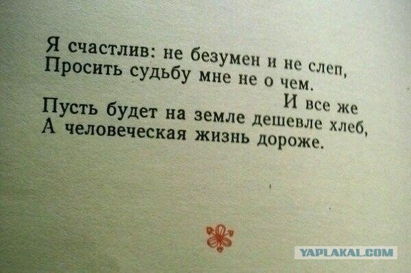 Несколько фоток