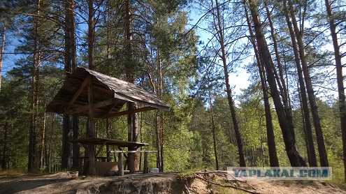 Жизнь как она есть 2