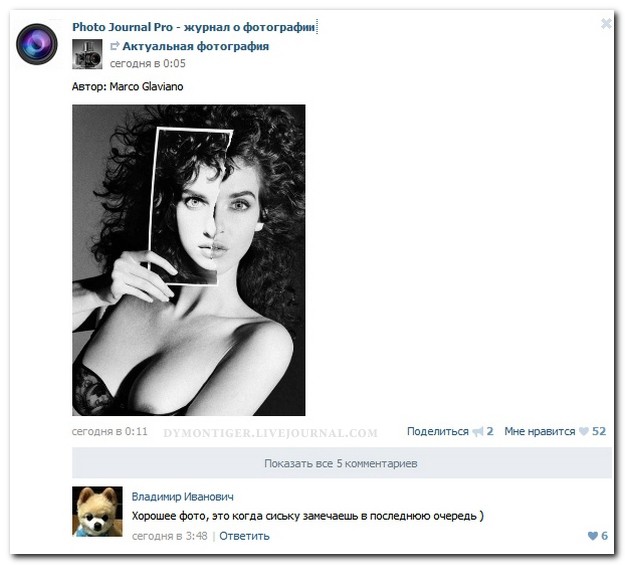 Всячина. Картинки и тексты картинками