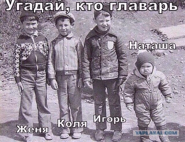 Все друг друга поняли (Смехопанорама)