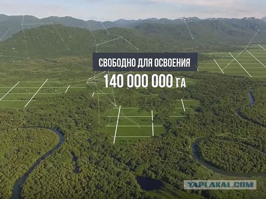 Чем грозит социальное расслоение