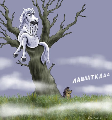 Беседка ФиС ЯПа