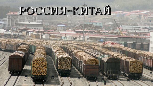 Вырубка леса в Сибири