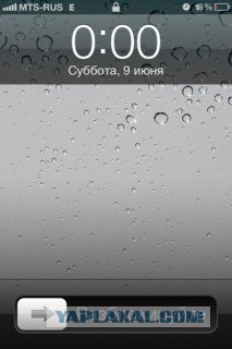 Волшебные грибочки