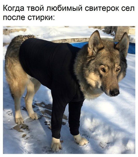 Подборка интересных и веселых картинок