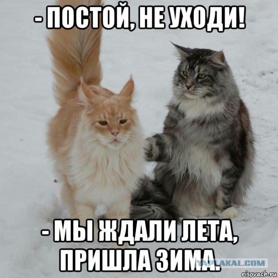 Подборка интересных и веселых картинок