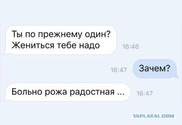 Смешные комментарии из социальных сетей 23.03.2018