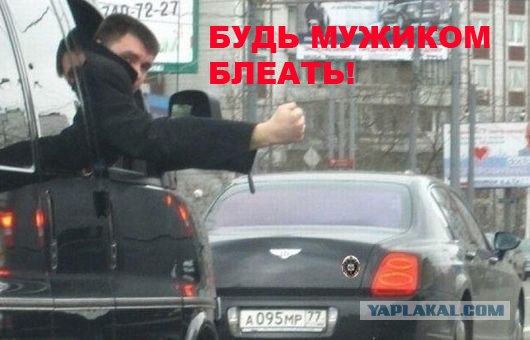 Раскрыт cписок vip-персон c мигалками