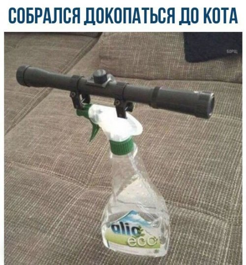 Глазки от работы отрывайте, на картинки повтыкайте!