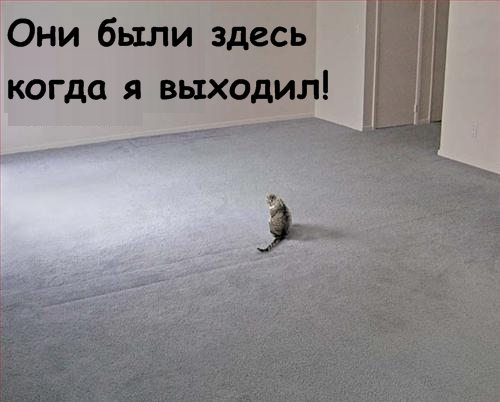 Lolcats - котовторник 33 лолокота!