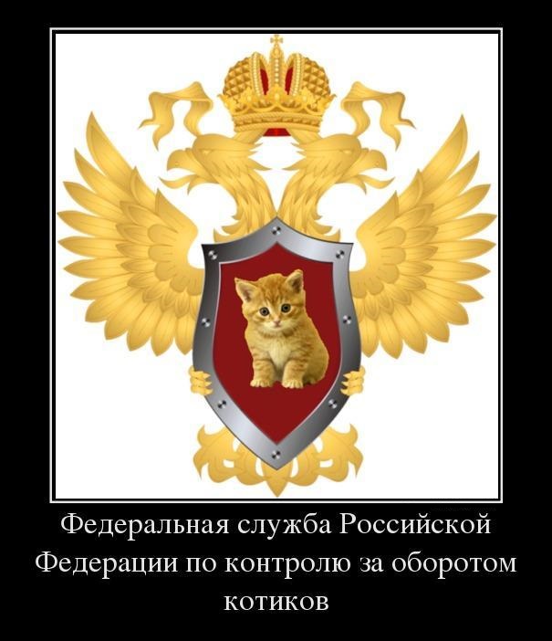 Картинки в рамках с надписями