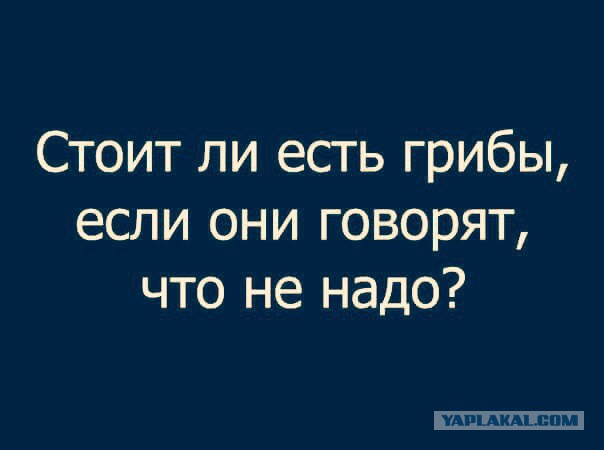 Анекдоты, истории и картинки с надписями