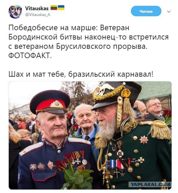 Красная гвоздика