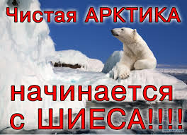 Мусорный беспредел