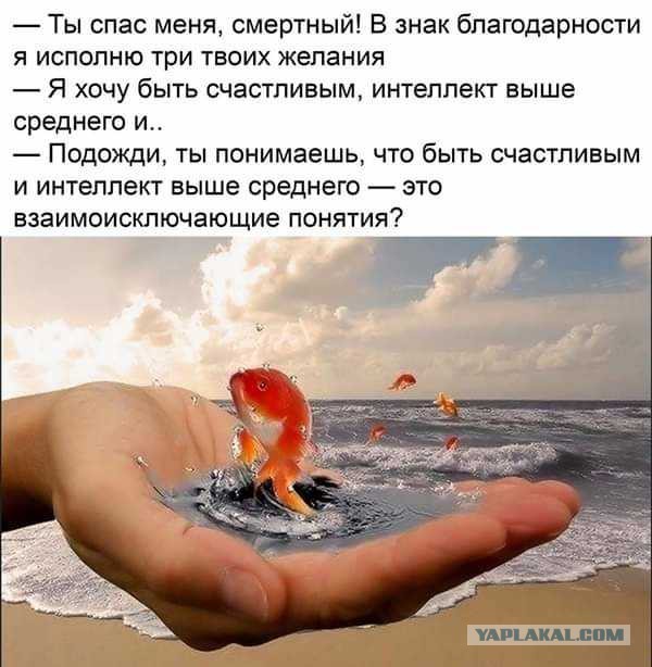 В Нидерландах физически здоровая 17-летняя девушка прибегла к эвтаназии