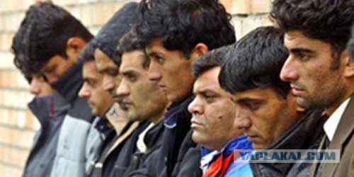 В России появился новый глобальный бренд