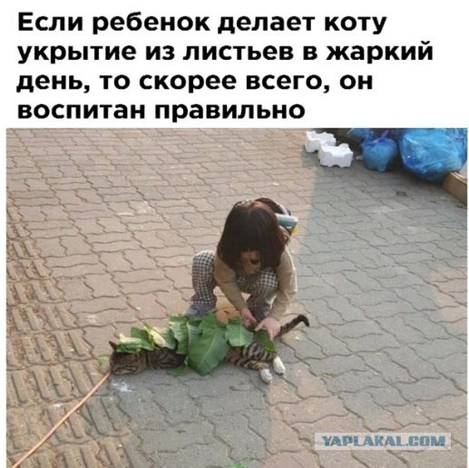 Немного картинок для настроения 28.01.20