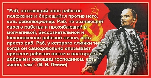 Почему не стоит участвовать в голосовании по Конституции. Мнение