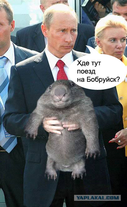 Фотожаба: Путин и зверь