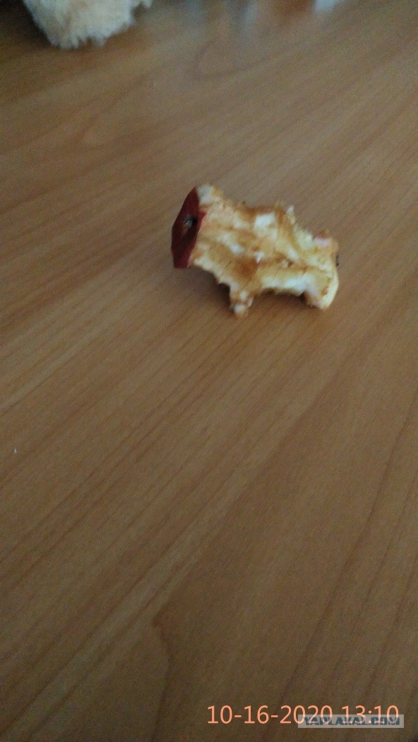 Спасем мир?