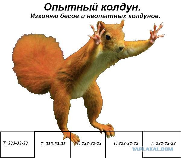 Фотожаба: Белка как бы говорит нам...