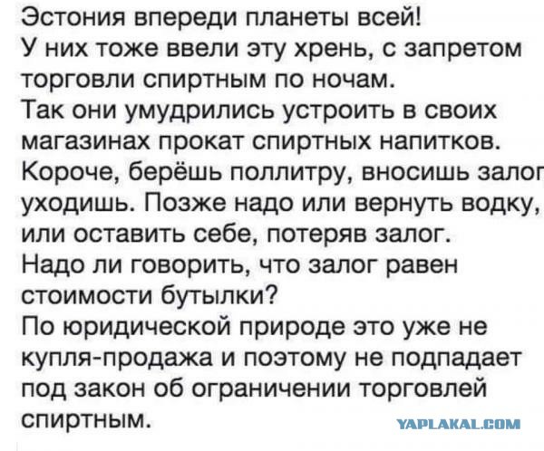 Бредзона 08.12.2020
