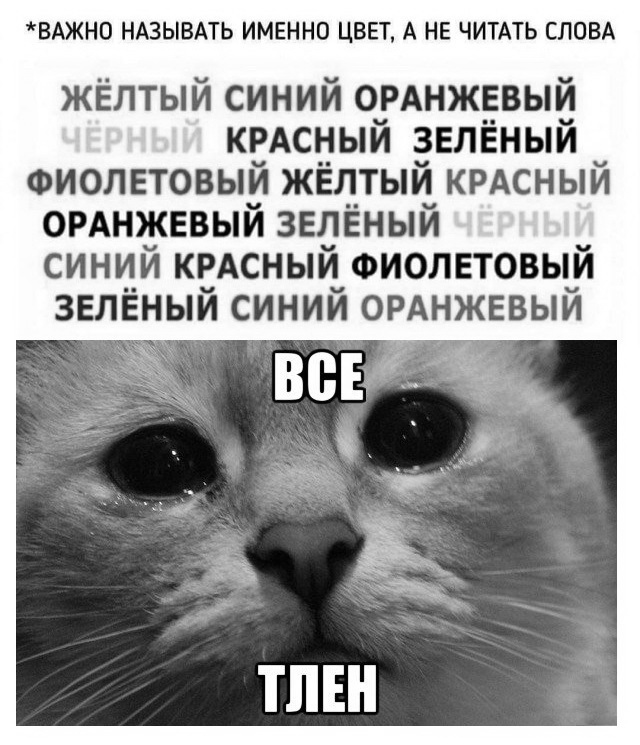 Лёгкая разминка между поглощениями салатов
