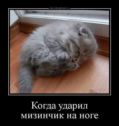 Результат раскопок на моем компе. Картинки разные, архивные, бессистемные
