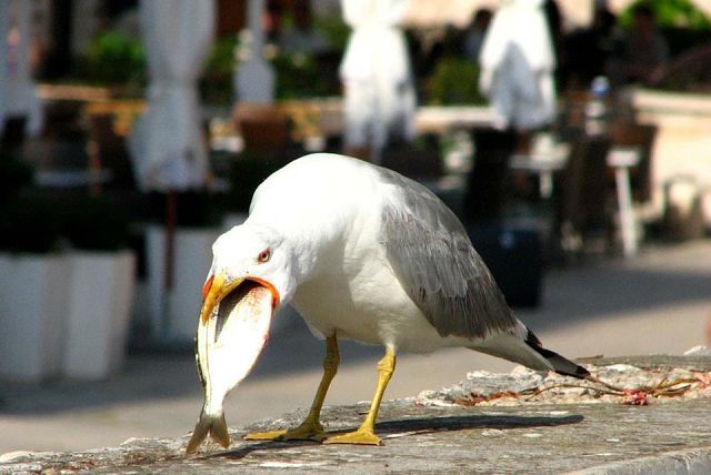 Подборка картинок всяких