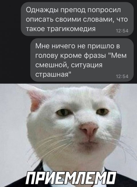 Картинки и мемы для настроения 015