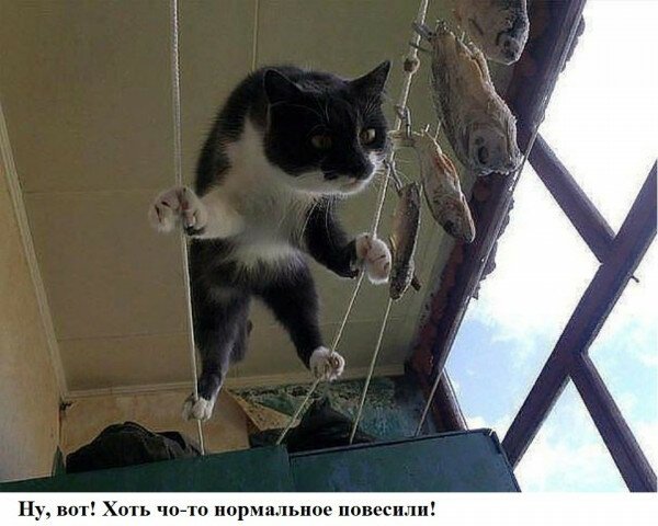 Прикольные и просто красивые картинки 22.06.2021