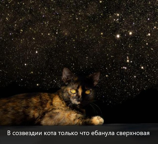 Дорогая, а поехали на море?