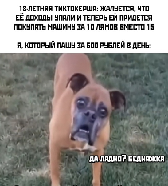 Весёлый полтишок 02.10