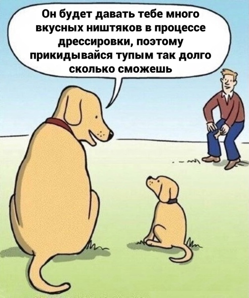 Картинки и мемы для настроения 20.10.2021