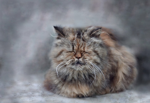 Короткие истории и случаи из жизни 09.04.22