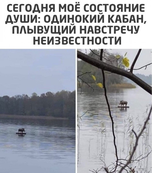 Юмор и картинки разные
