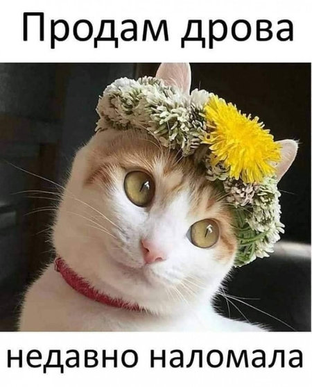Пятница. Вечер. Картинки всякие #7