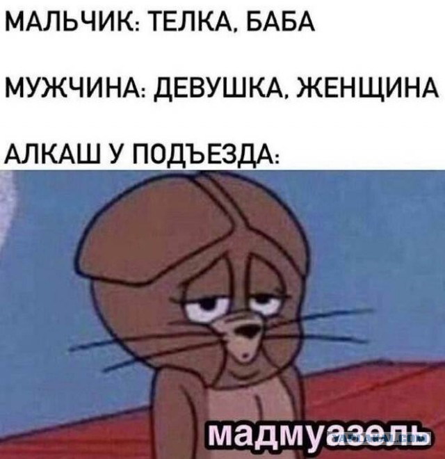 Картинки и мемы. Выходные близко, близко...