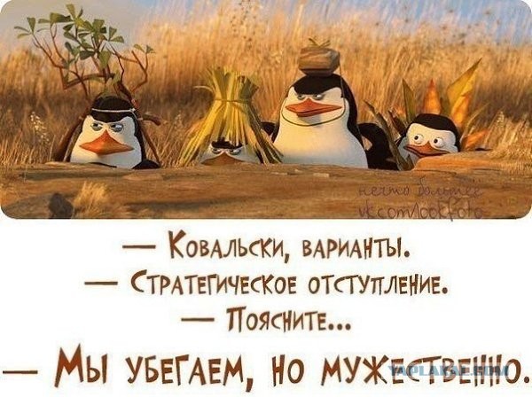 Затаскали понятие террор