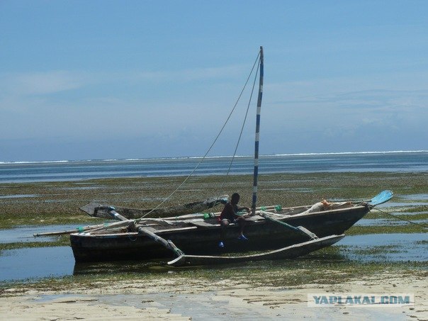 AFRICA - (Эфиопия,Кения,Танзация) 4-16 ноября 2011