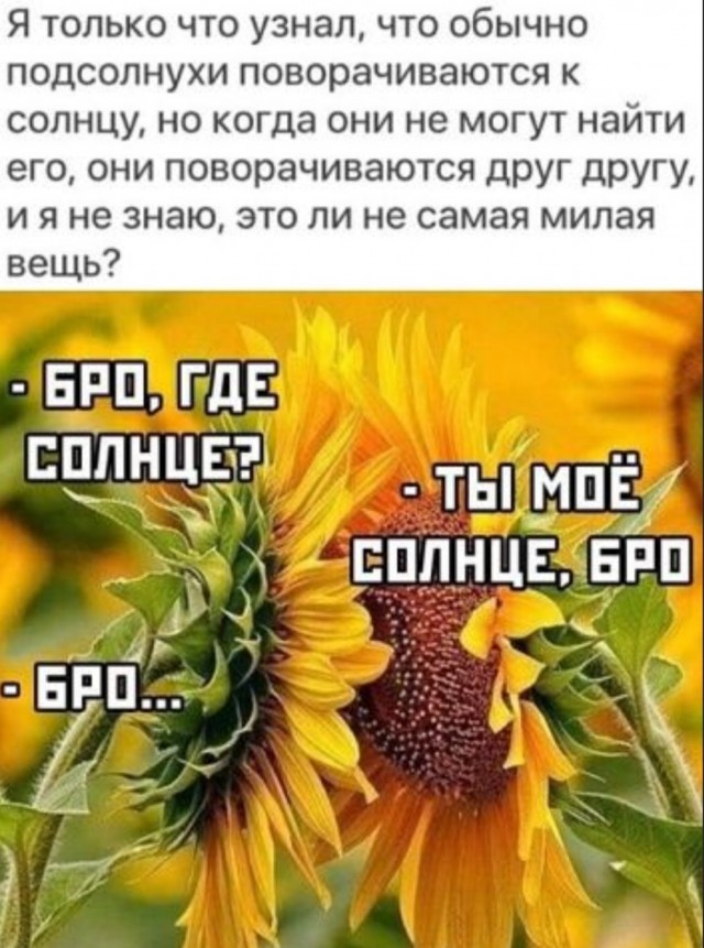 Забавные комментарии из социальных сетей 26.12.22