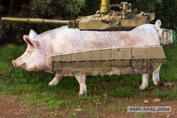 Танков Украине не видать!