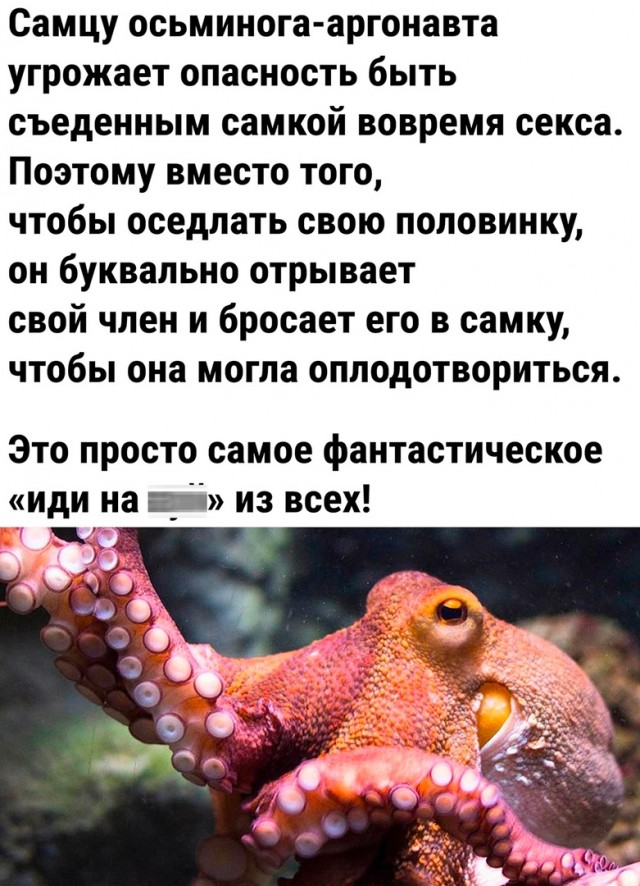 Картинки и мемы, всяко разно - 181