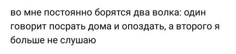 Сотка отборных баянов картиночной направленности