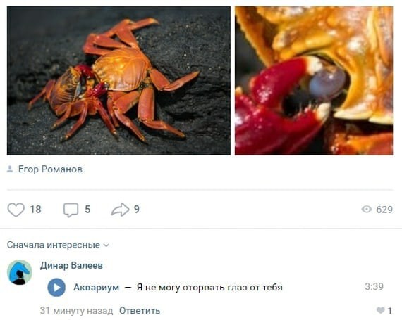 Народная меДИЧина 3027