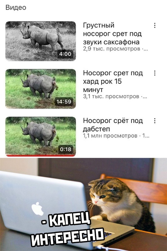 Скупка краденого из сети 08-08-2023