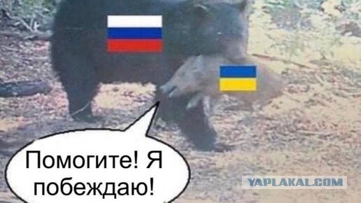В порту Феодосии слышны взрывы - возможно взорван БДК Новочеркасск